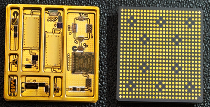 2026.3.12植樹節(jié)18